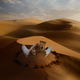 Liwa, Dusk. The desert of Abu Dhabi serving as a symbol for the desertification that’s happening elsewhere around the world.